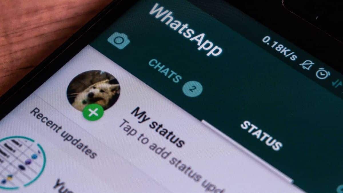 Cara Memperbarui Whatsapp Transparan Mod Versi Terbaru