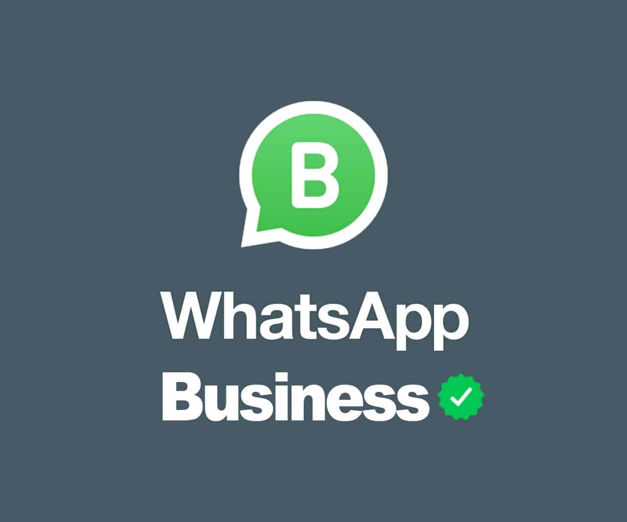 Sekilas Tentang WhatsApp Business APK