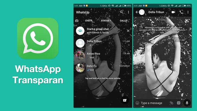 Tips Aman Menggunakan Whatsapp Transparan Mod