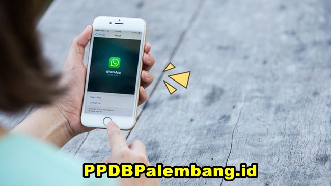 WhatsApp Lite (WA Lite) Apk Ukuran Kecil Download Terbaru Official