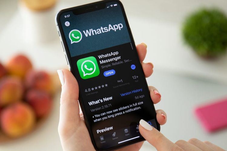 8 Cara Whatsapp Offline di Aplikasi Resmi