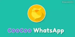 Coocoo Whatsapp
