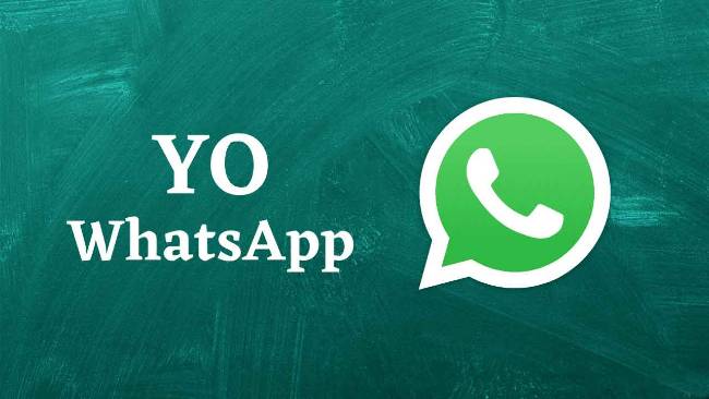 Tips Menggunakan Yo Whatsapp